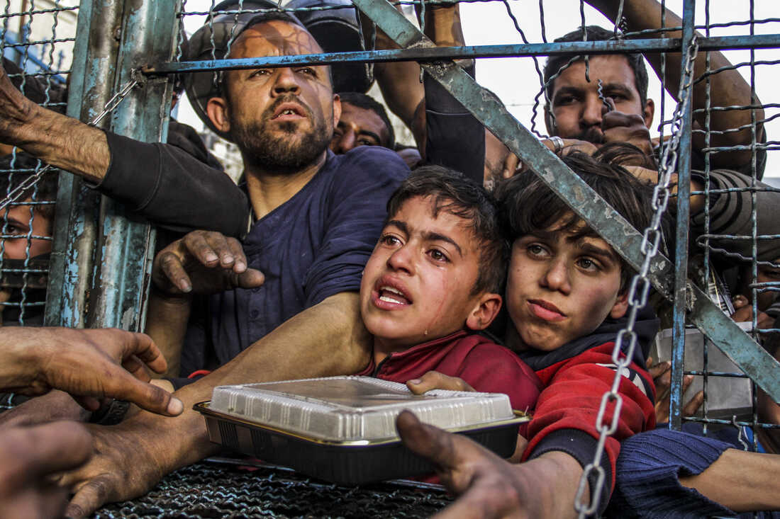 Gaza Medical Relief